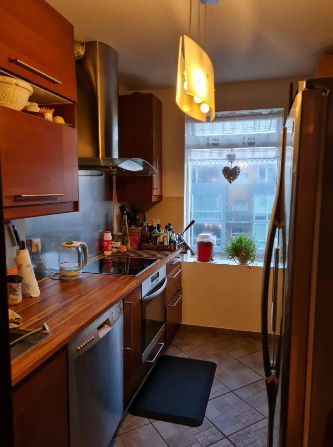 Cozy Stay In Downtown Reykjavik Ngoại thất bức ảnh